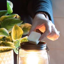 Load image into Gallery viewer, White pumpkin freshmelt - 5.5 oz Candle Wax Melts