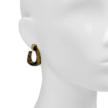 Load image into Gallery viewer, Patricia Nash - Hoop Earrings - Pave Tortoise Resin Collection
