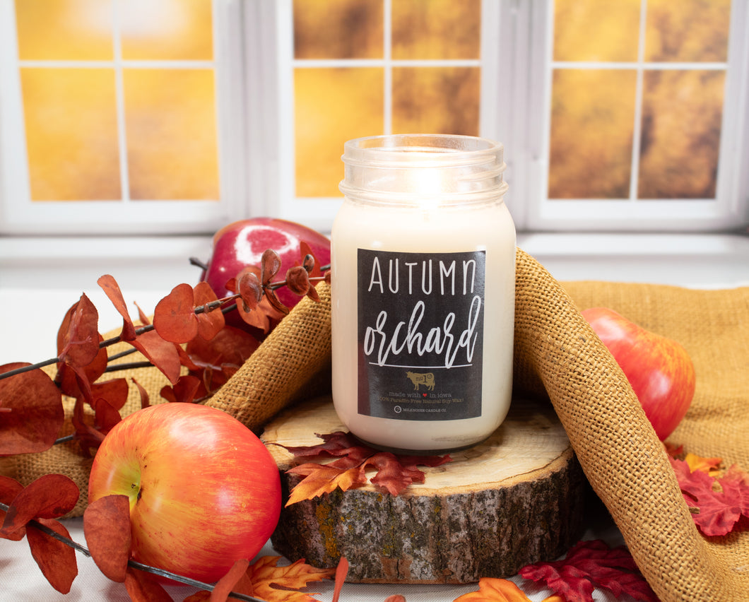 Autumn Orchard candle in the 13oz mason jar