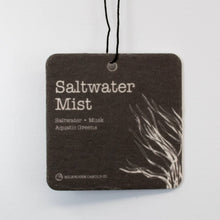 Load image into Gallery viewer, Car Freshener: Saltwater Mist
